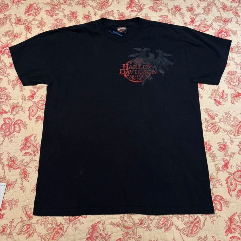 Vintage Harley Davidson Grunge Y2K 2000s Lofty Fit Graphic T Shirt!